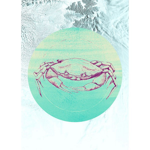 Plakat Krabbehav - 40x50 cm