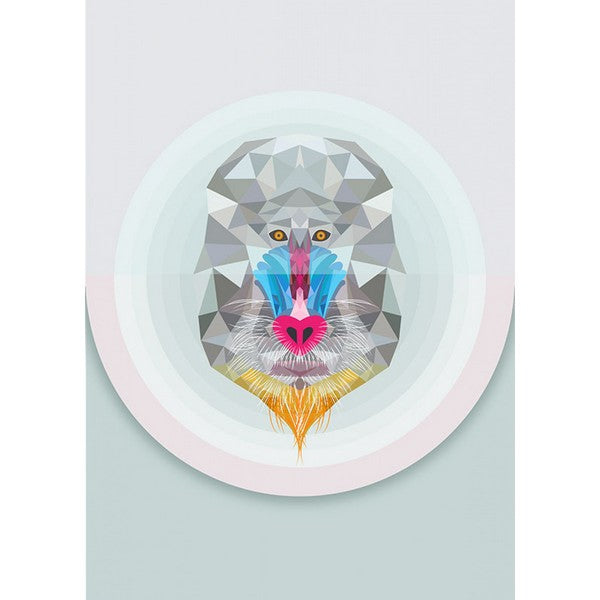 Plakat Bavian - 40x50 cm