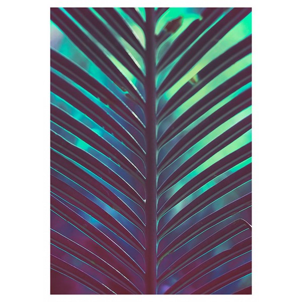 Plakat Skjul - 40x50 cm