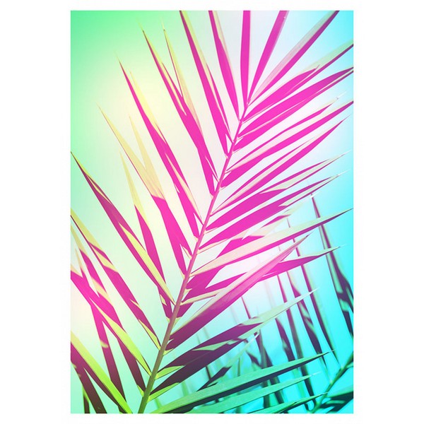 Plakat Shine - 40x50 cm