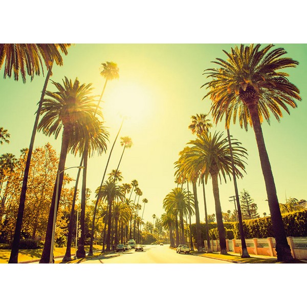 Plakat Palm avenue - 40x50 cm