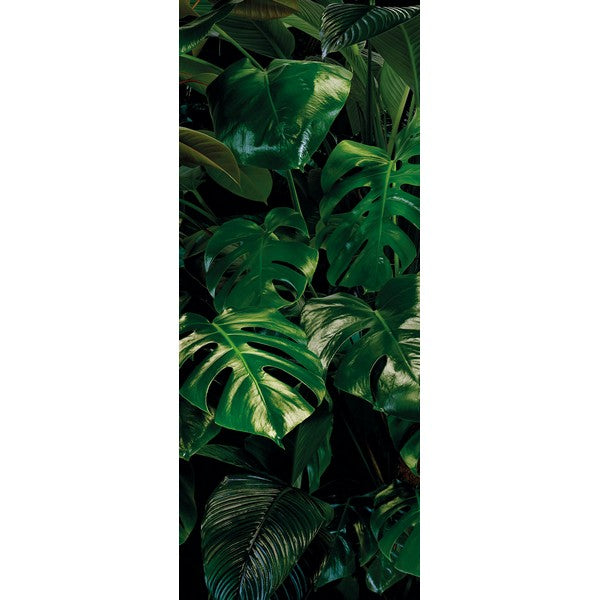 Fototapet Tropical Wall 2,50x1 meter