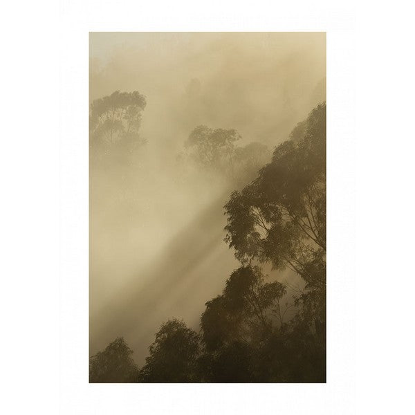 Plakat Gyldent lys - 30x40 cm