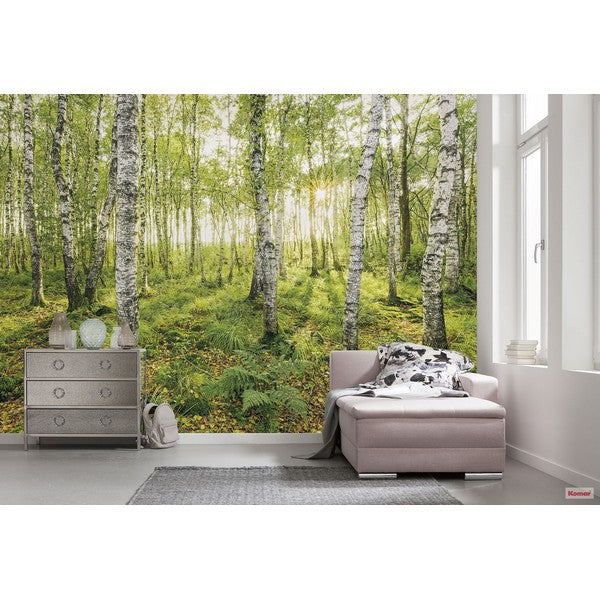 Fototapet Birch Trees 2,5x4 meter
