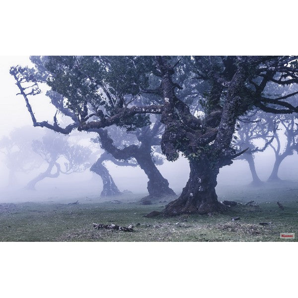 Fototapet Ghost Line 2,5x4 meter