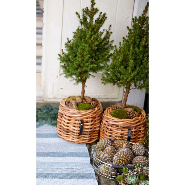 Rund Rattankurv (sæt m/5 stk/3 str) Ø32-62xH24-84 cm