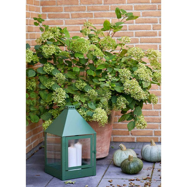 Olivengrøn Mega Quadro Lanterne L32xB32xH52 cm