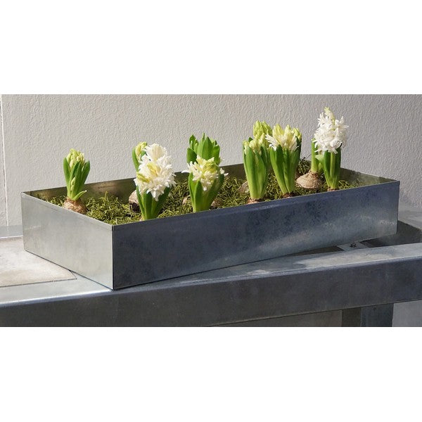 Høj Bundbakke t/Maxi Væksthus L59,7xB29,6xH10 cm