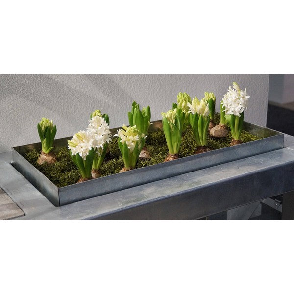 Høj Bundbakke t/Maxi Væksthus L59,7xB29,6xH10 cm