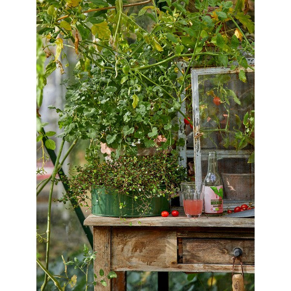 Olivengrøn Rund Plantebakke (sæt m/2 stk/2 str) Ø25-35xH9-10 cm