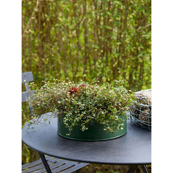 Olivengrøn Rund Plantebakke (sæt m/2 stk/2 str) Ø25-35xH9-10 cm