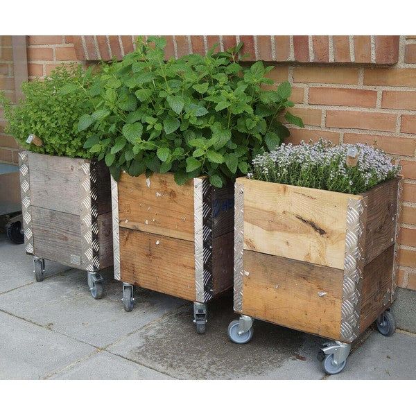 Galv Quadro Plantebakke (t/Quadro Kasse) L31xB31xH30 cm