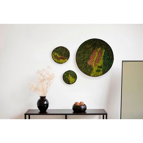 Mosbillede med bark rund 35 cm