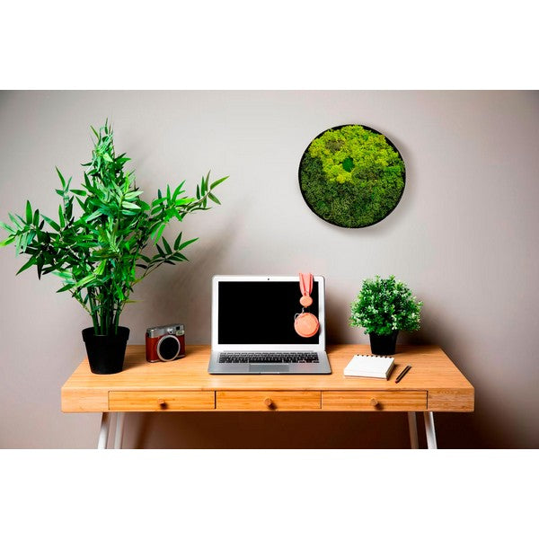 Mosbillede rund 25 cm