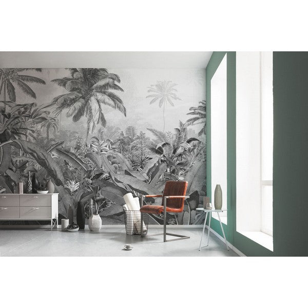 Fototapet Amazonia Black & White 2,50x4 meter