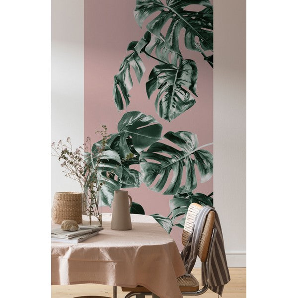 Fototapet Monstera Rosé 2,50x1 meter