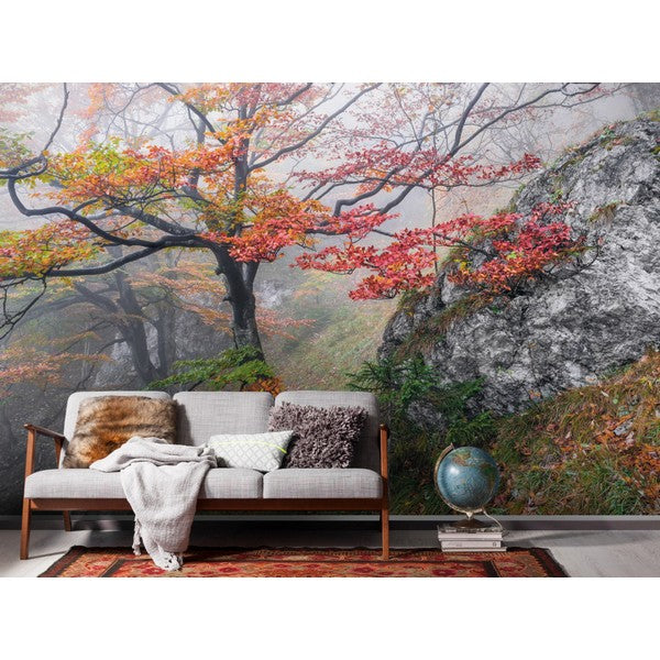 Fototapet Euphoria 2x3 meter