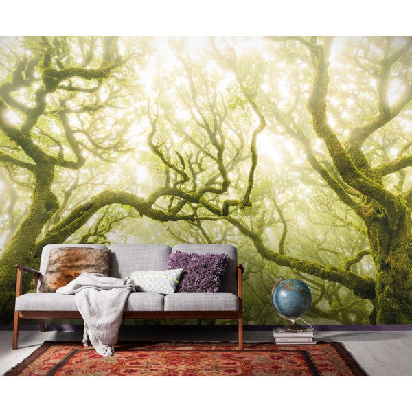 Fototapet Green Fire 2,5x4 meter