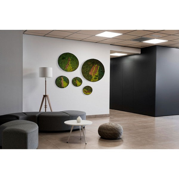 Mosbillede med bark rund 75 cm