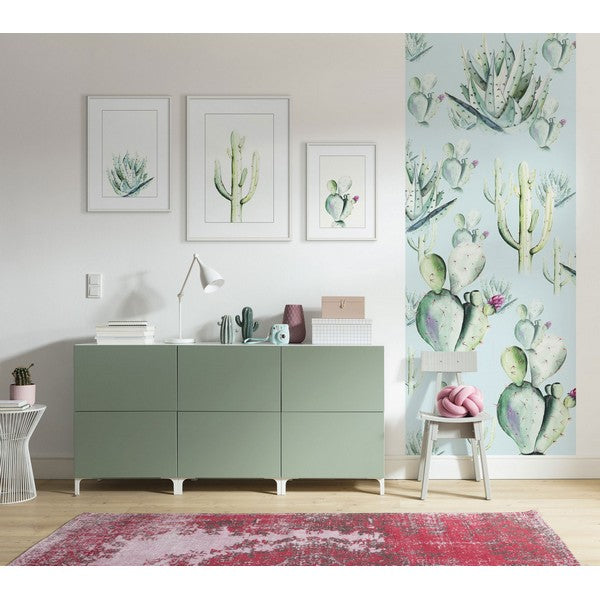 Plakat Aloe planten - 50x70 cm