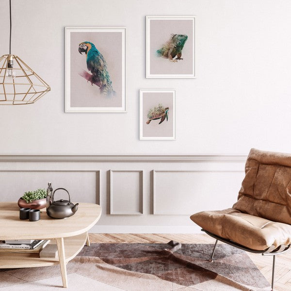 Plakat Dyr Paradisskildpadde - 40x50 cm