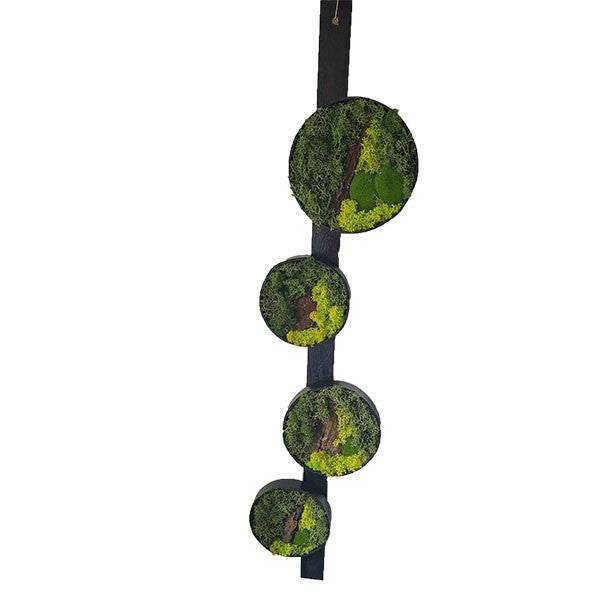 Mosbillede med 4 cirkler i forskellige str.