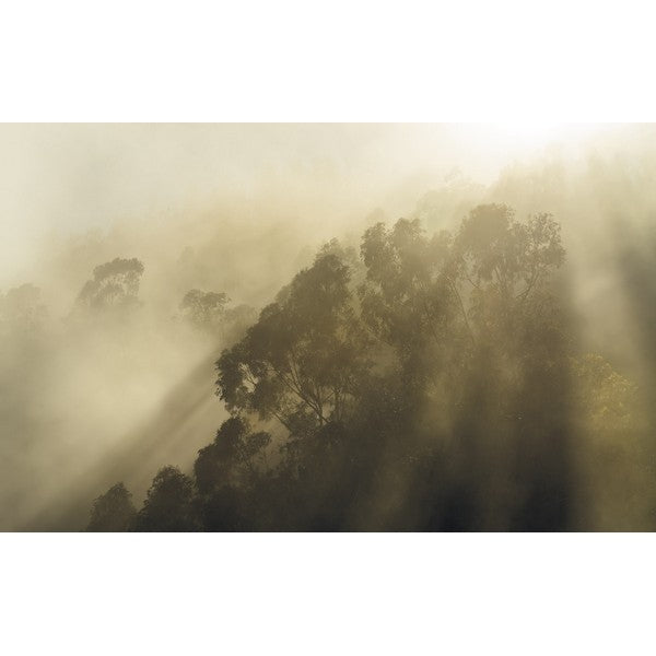 Fototapet Misty Mountain 2,5x4 meter