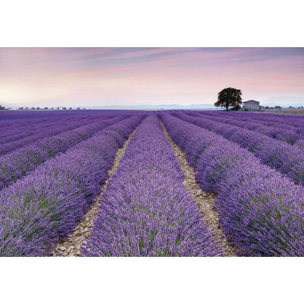 Fototapet Provence 2,6x4 meter