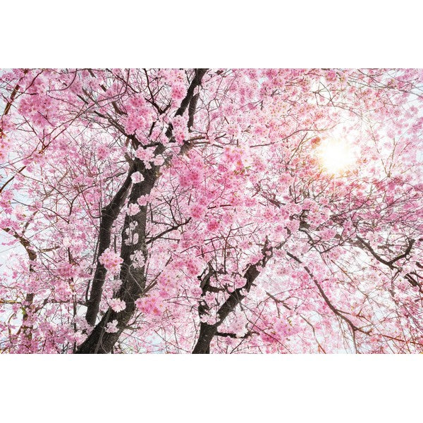 Fototapet Bloom 2,6x4 meter