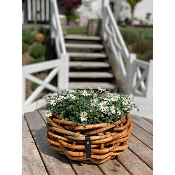 Maxi rund Rattanbowle - inkl. pose 1xØ36x17 cm