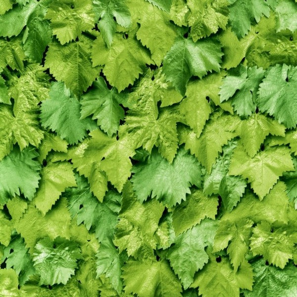 Selvklæbende folie leaves 45x200 cm