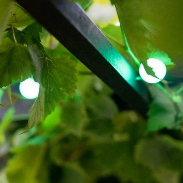 LED lyskæde Lite Bulb Moments Smart Globe String Lights