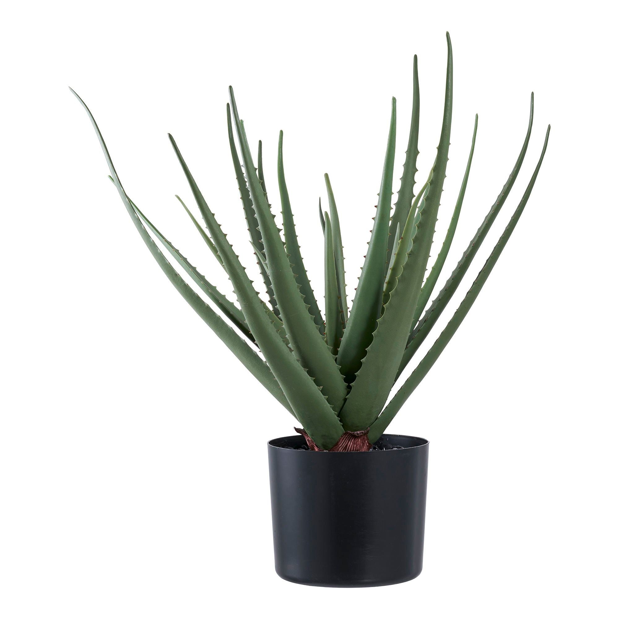 House Nordic Aloe Vera