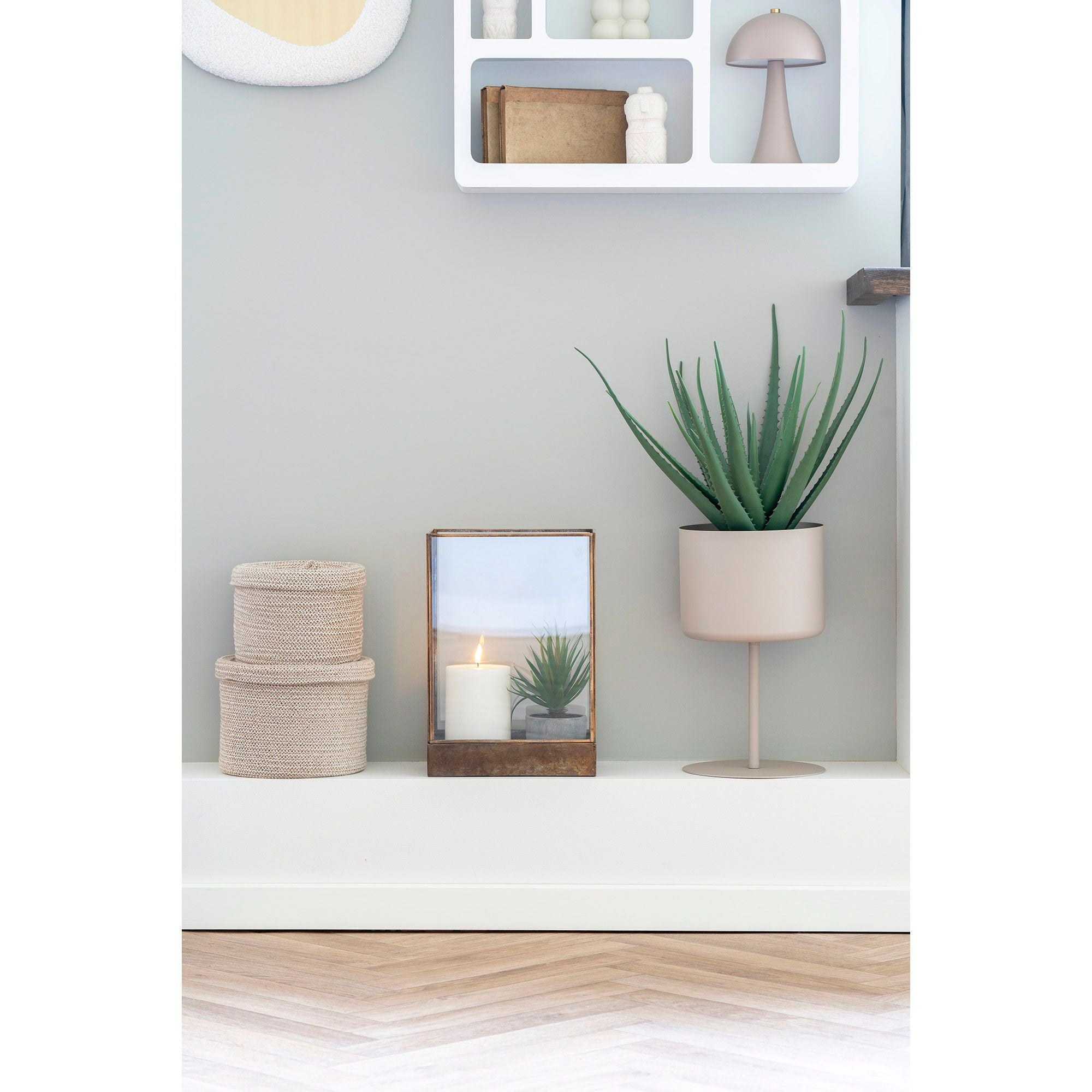 House Nordic Aloe Vera