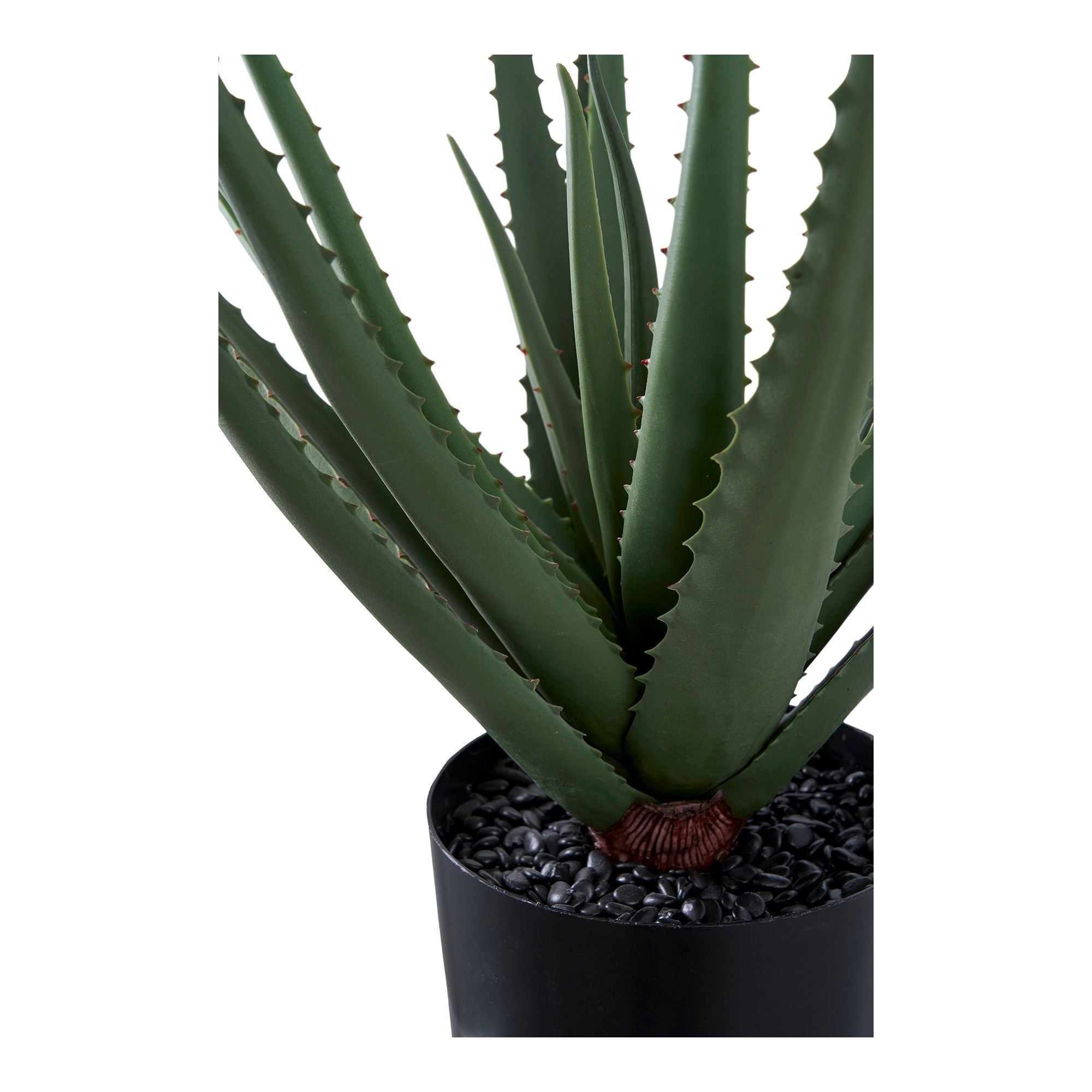 House Nordic Aloe Vera