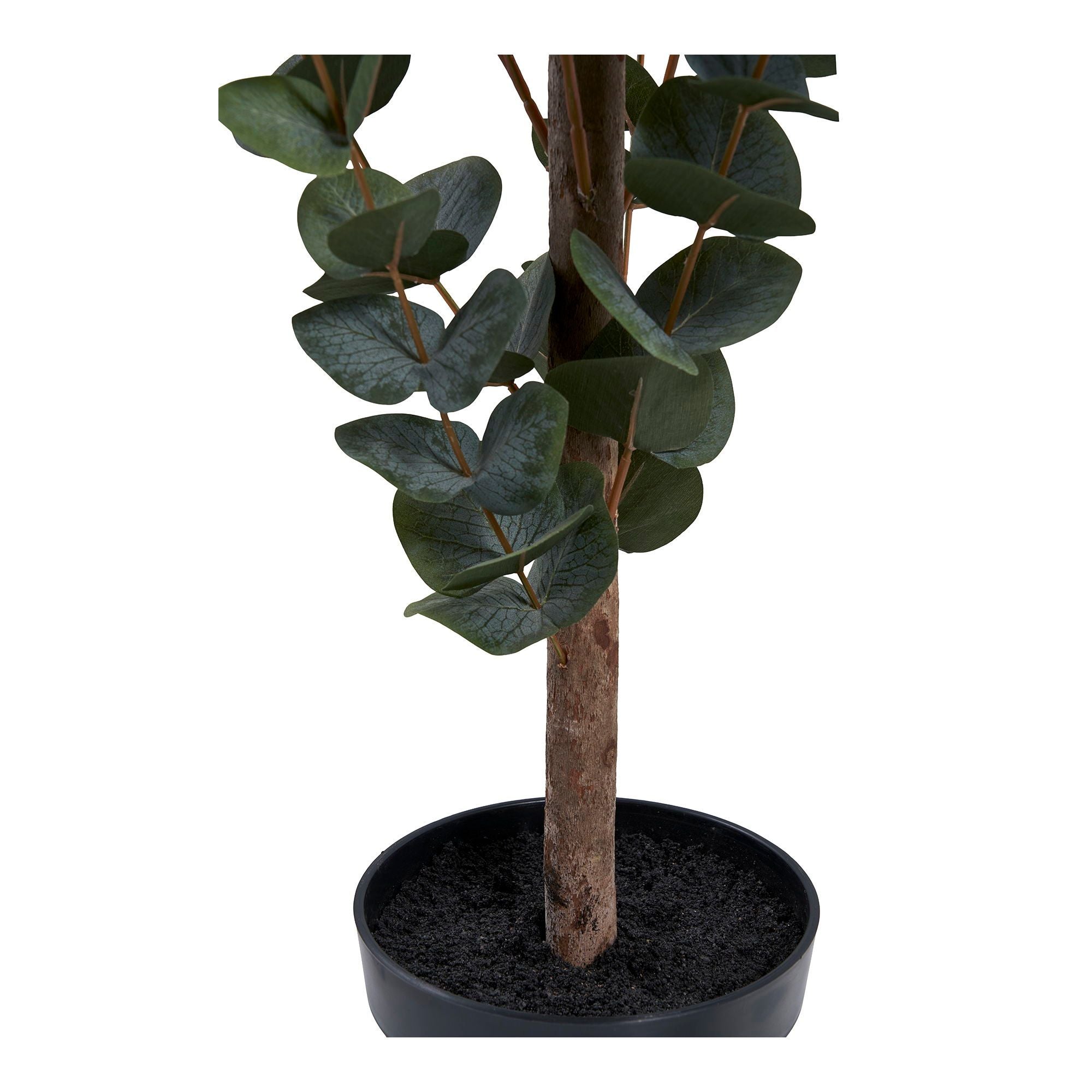 House Nordic Eukalyptus Træ
