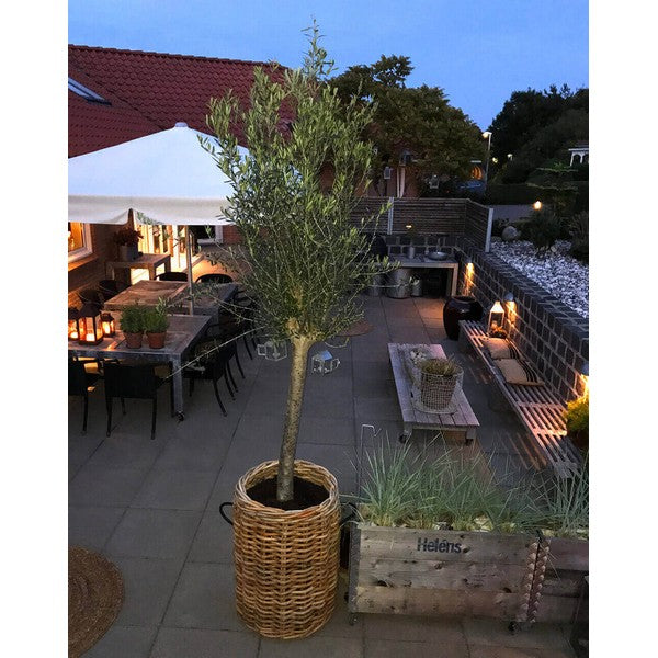 Mega Rund Rattankurv Ø62xH84 cm