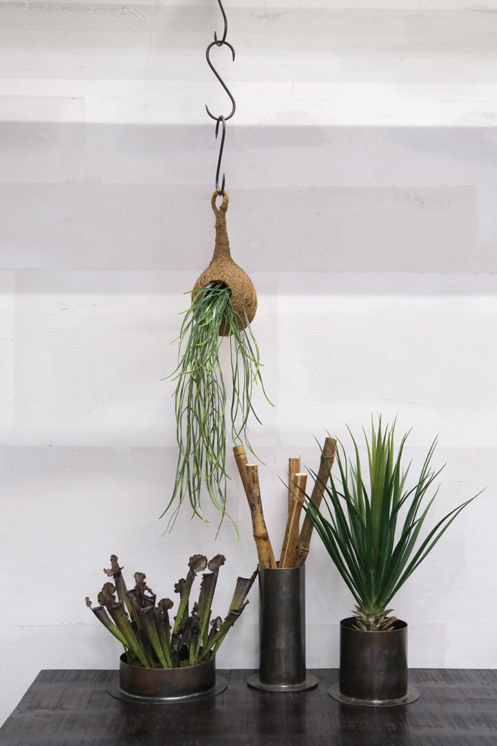 Trademark Living Pip planteophæng