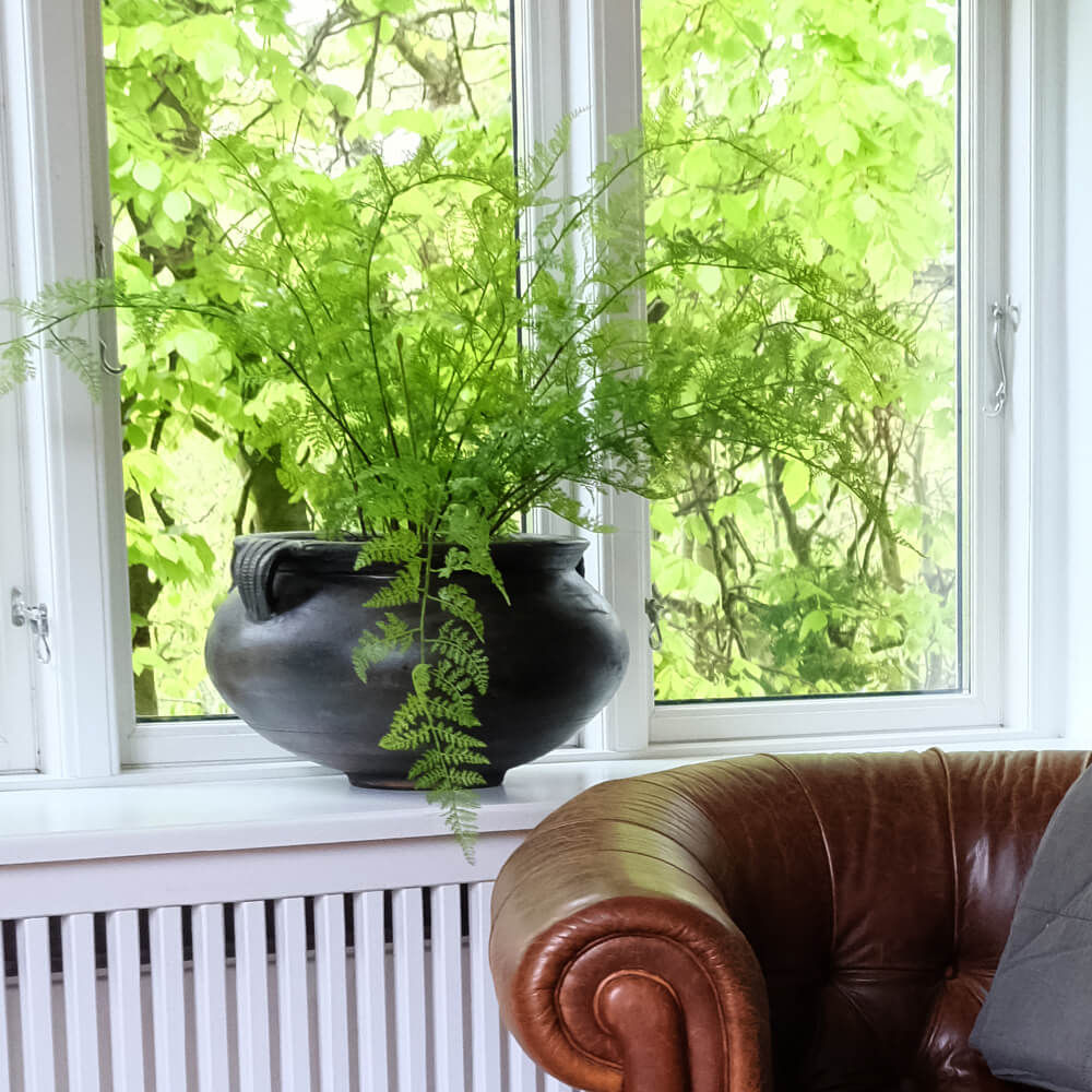 Trademark Living Botanic lerkrukke med håndtag - L