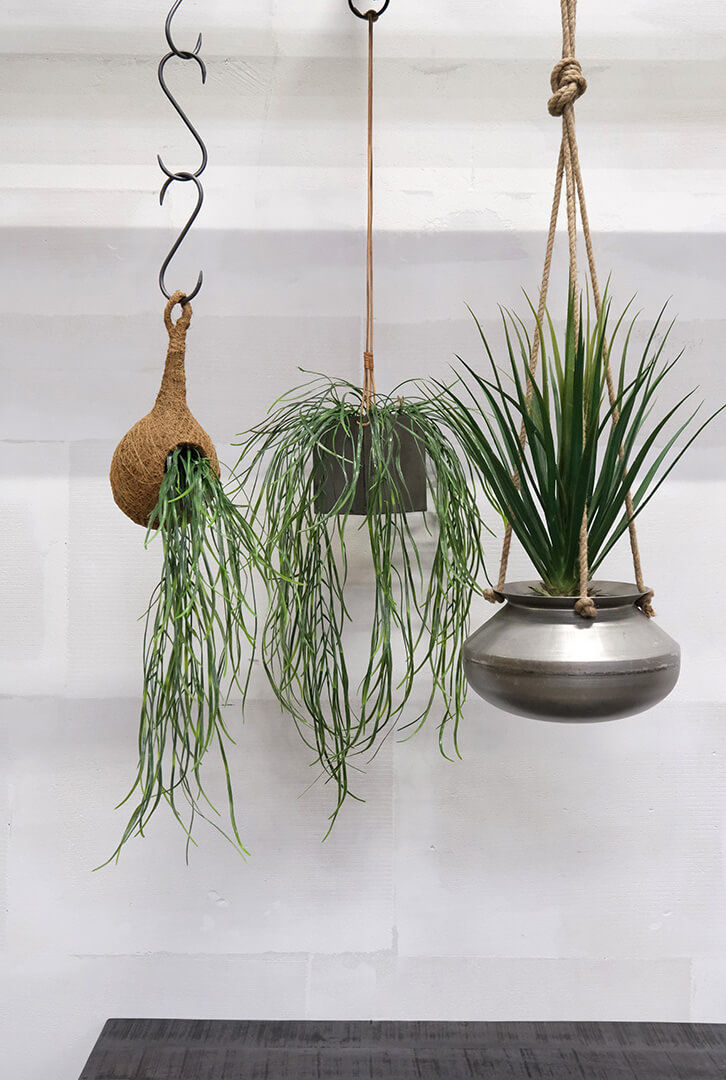 Trademark Living Pip planteophæng