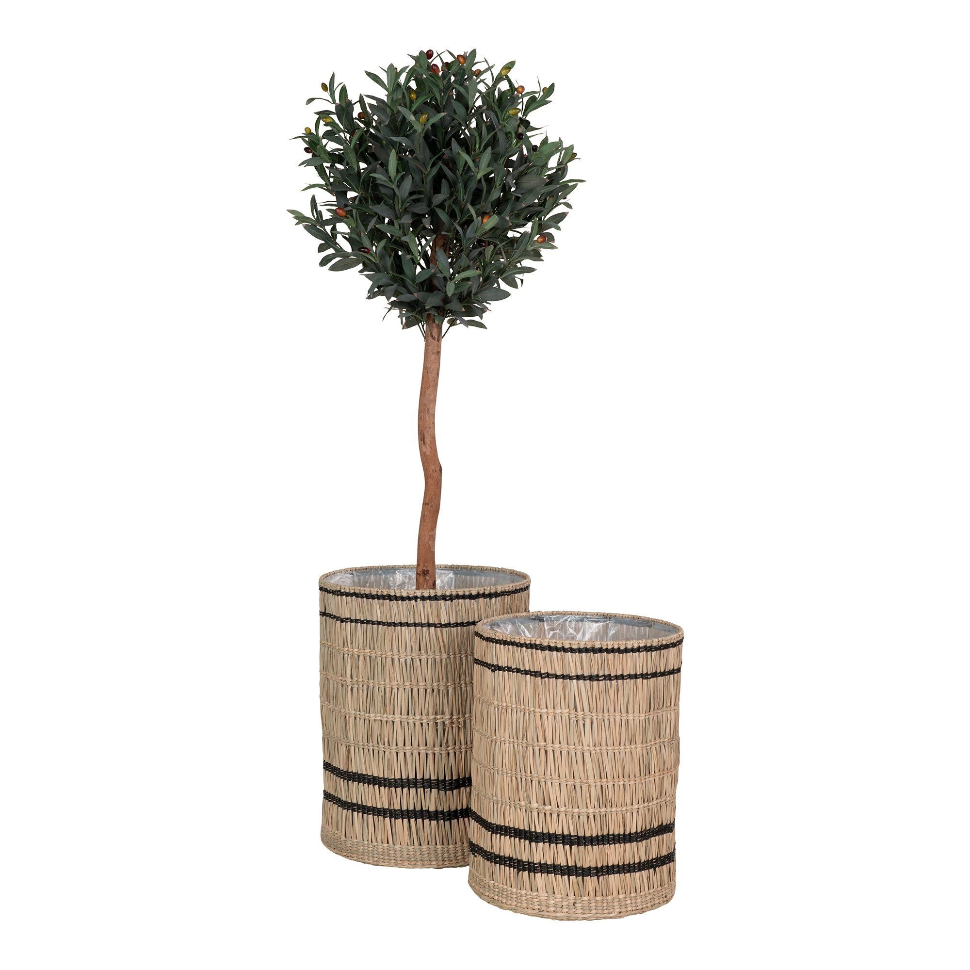 House Nordic Vinh Planteskjuler