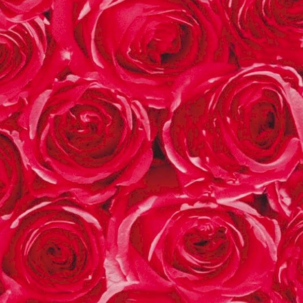 Selvklæbende folie røde roser 45x200 cm