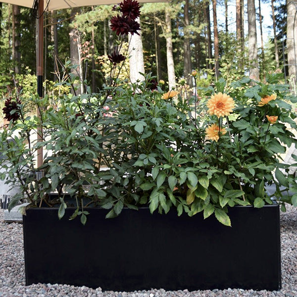 Plantekasse sortlakeret alu 60x120x40 cm u/bundplade