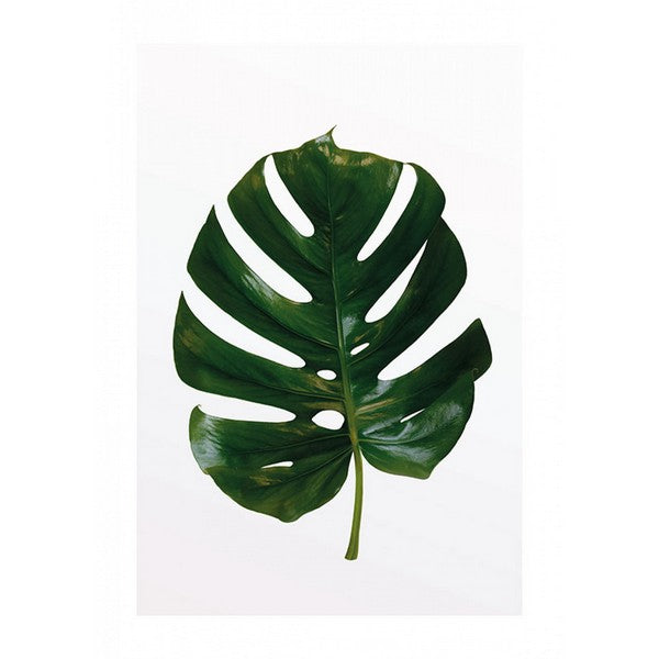 Plakat Monstera Leaf - 40x50 cm