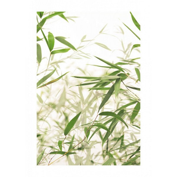 Plakat Bambus blade - 30x40 cm