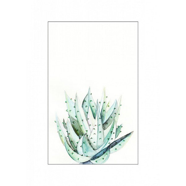 Plakat Aloe planten - 30x40 cm