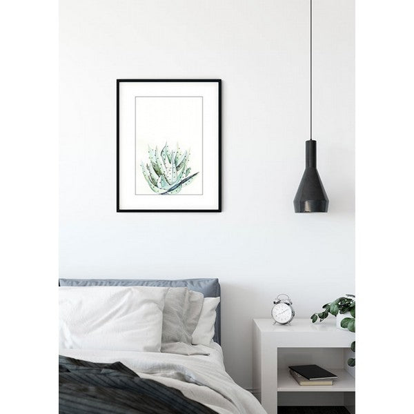 Plakat Aloe planten - 30x40 cm