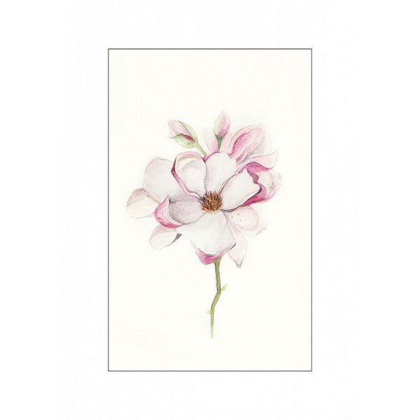 Plakat Magnolia blomst - 50x70 cm