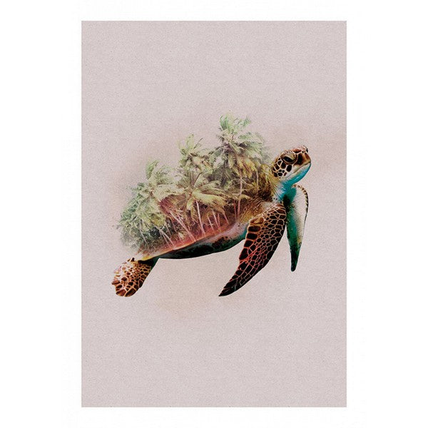 Plakat Dyr Paradisskildpadde - 30x40 cm