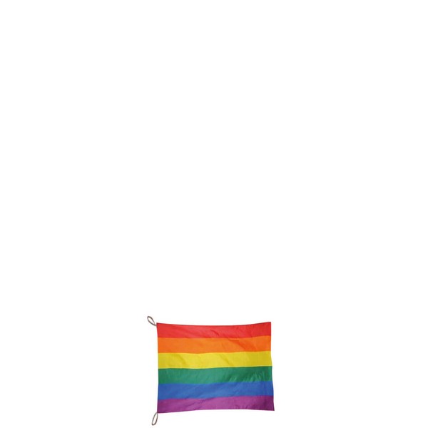 Løst Velkomstflag Rainbow L45xB34xD0,5 cm